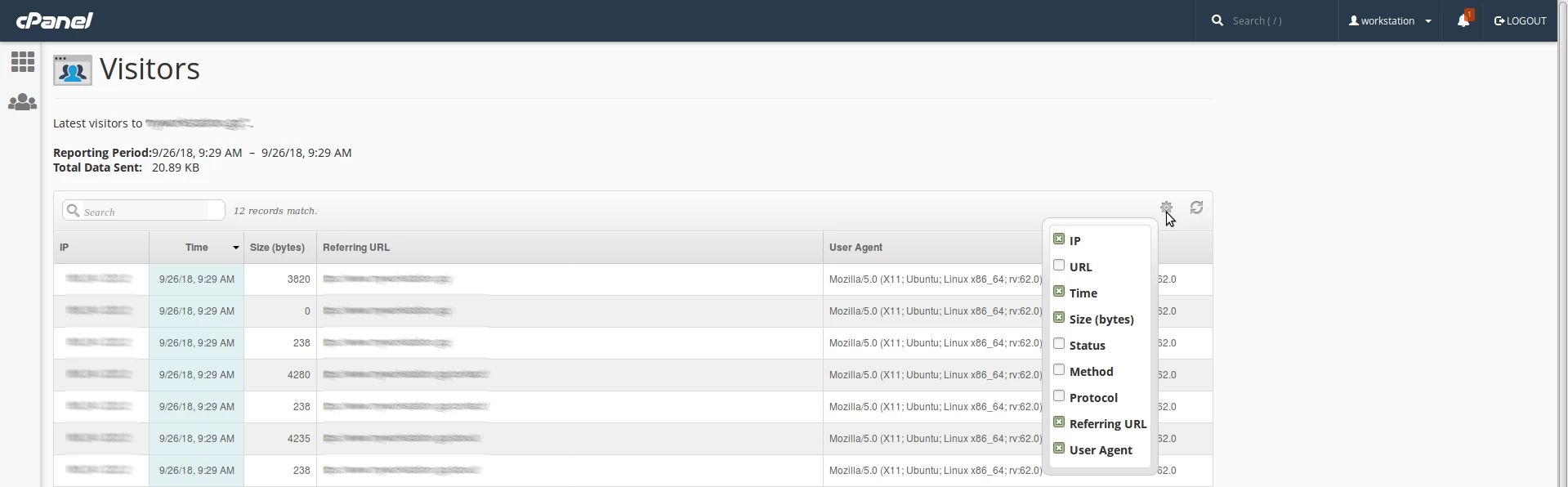 Informati suplimentare sectiunea visitors cPanel